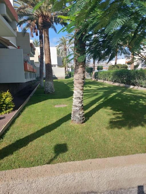 Lovely Apartment With Pool Costa Del Silencio Exteriér fotografie